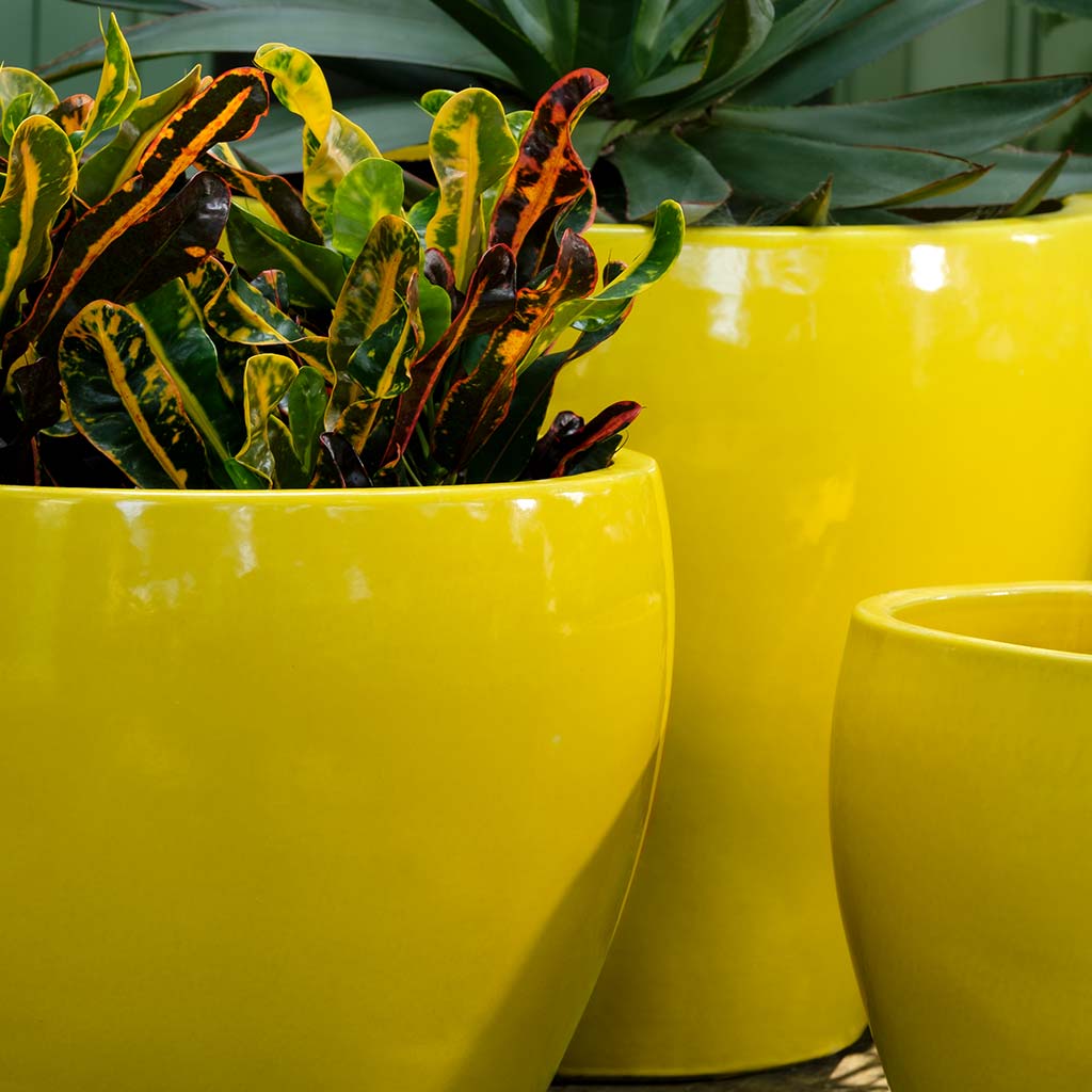 Campania Cabachon Planter, Set of 3 - 1000-1303