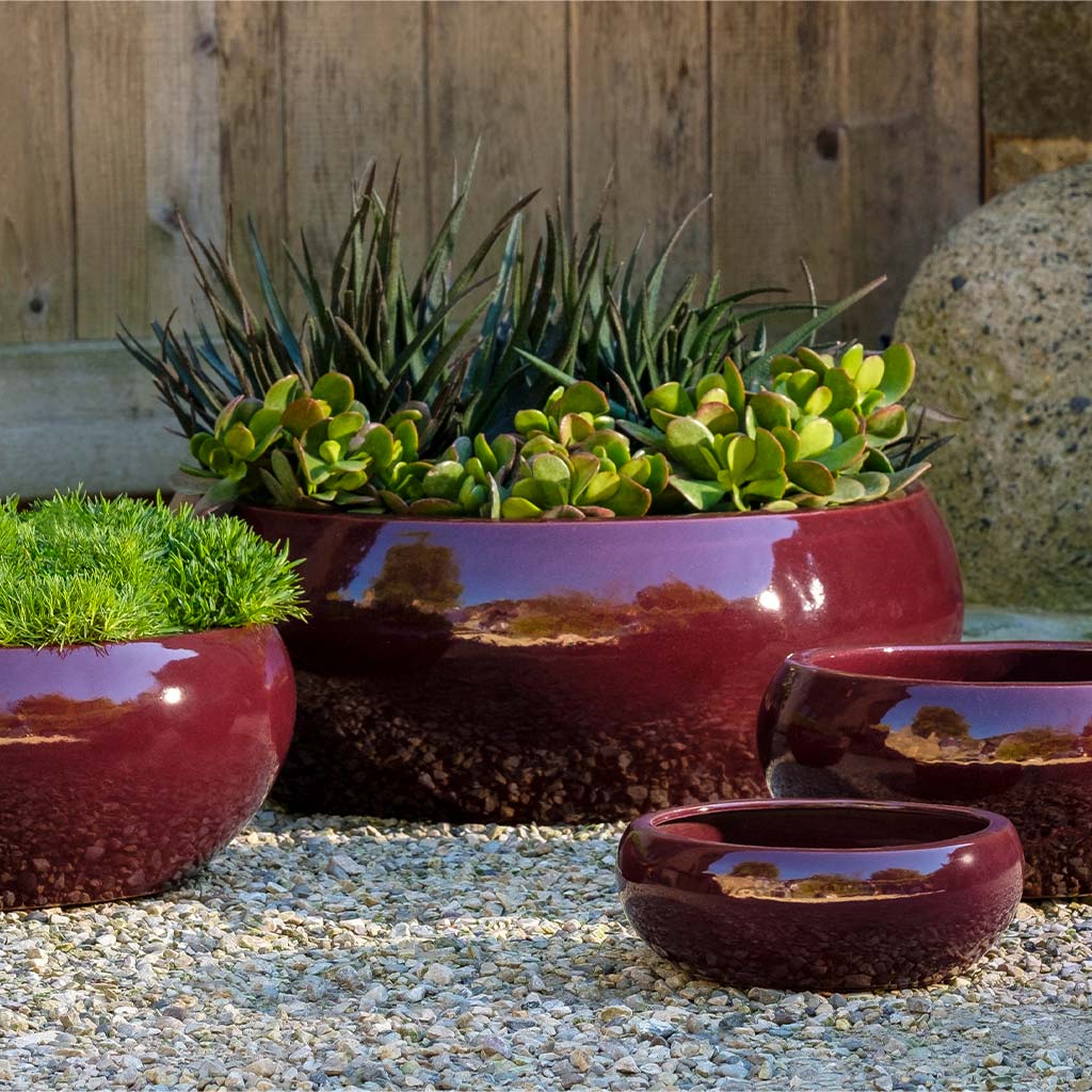 Campania Sasha Planter, Set of 4 - 1002-22504