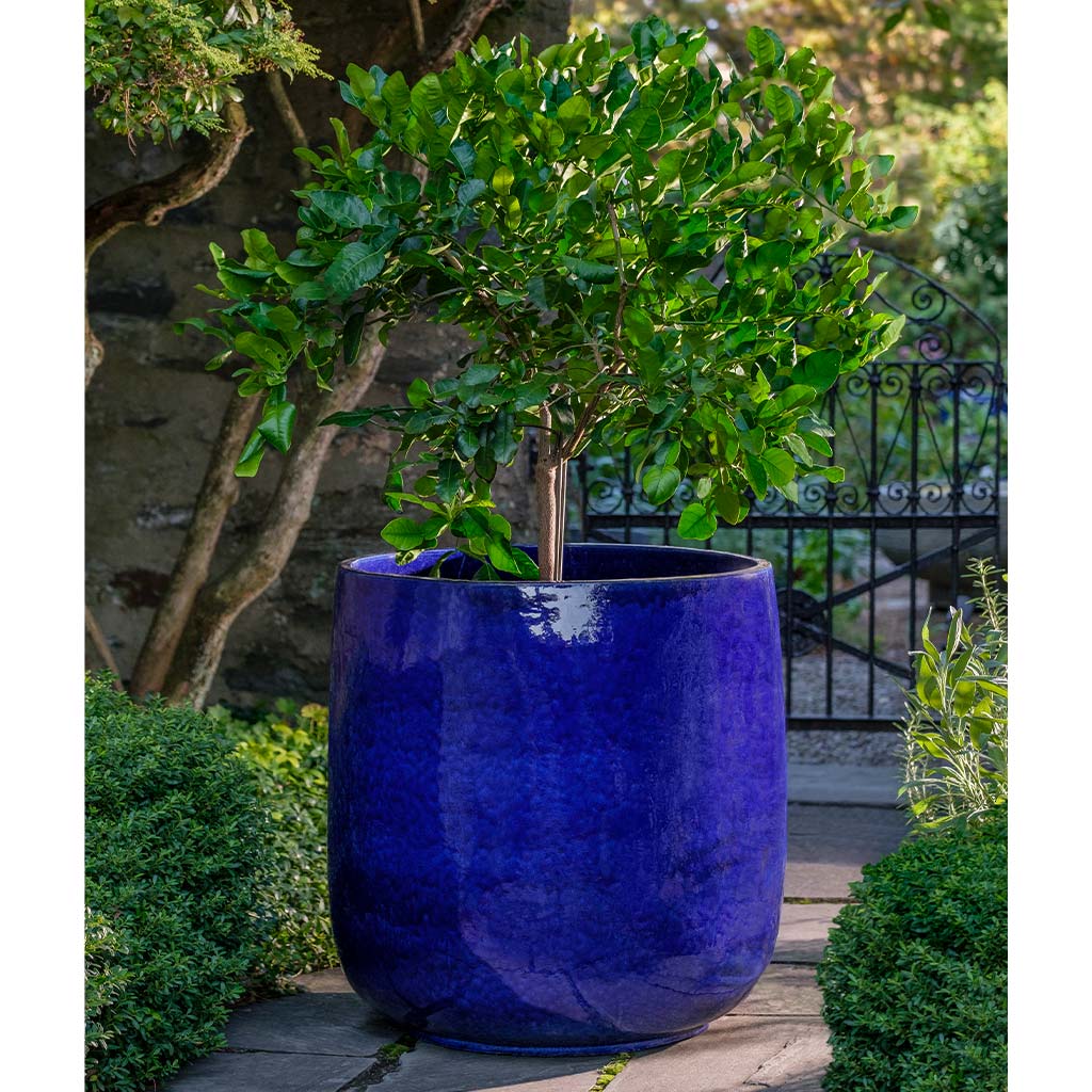 Campania Caixa Planter, Extra Large - 115121-5900
