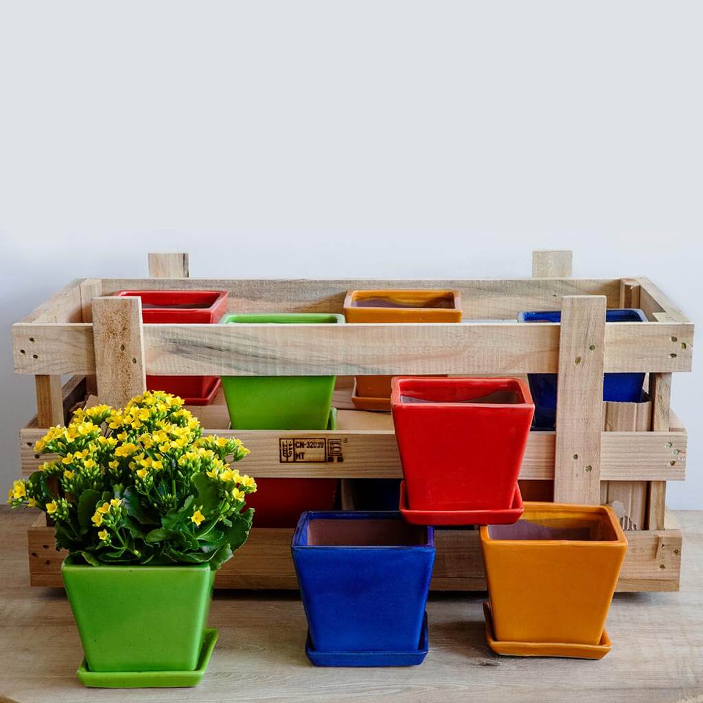 Campania Garden Terrace Large Brights Crate, Planters - 2020-AG