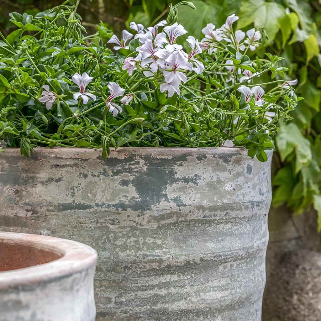 Campania Sistina Planter, Set of 2- 5003-18002