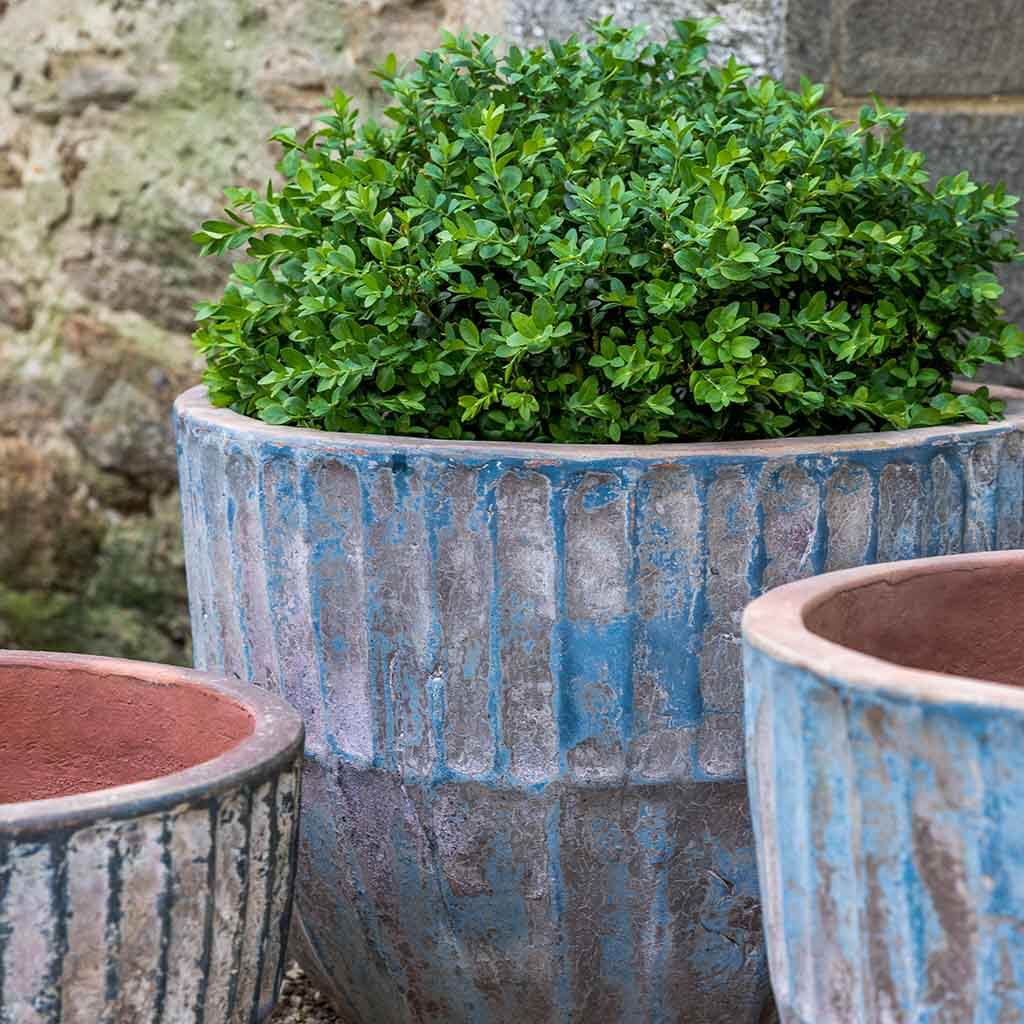 Campania Velia Planter - 5004-18003
