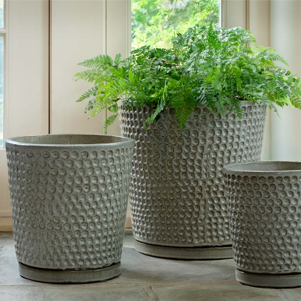 Campania I/O Coin Pot Planter, Set of 3 - 5313-23903