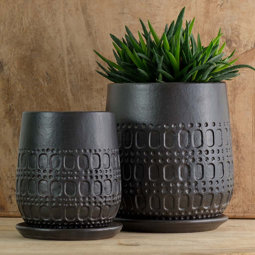 Campania Mojave Planter, Set of 4 - 5314-15304