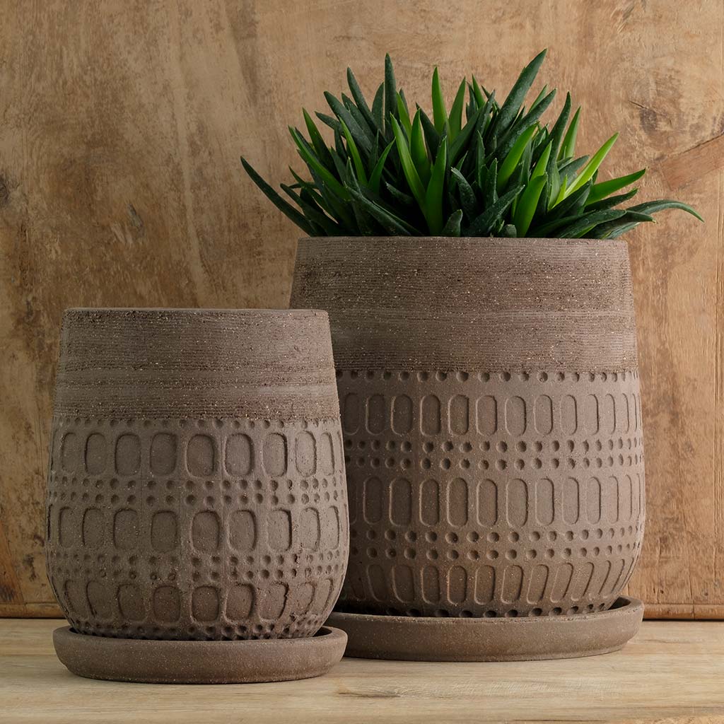 Campania Mojave Planter, Set of 4 - 5314-15304