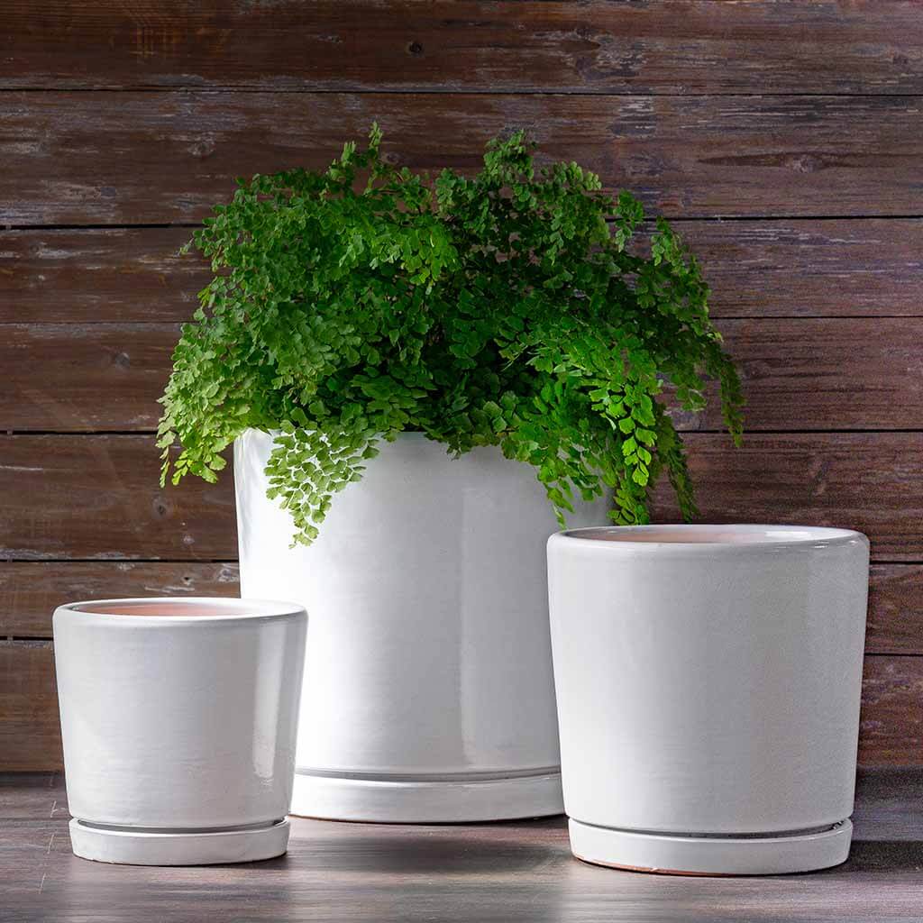 Campania I/O 2 Cylinder Planter, Set of 3 - 5319-1903