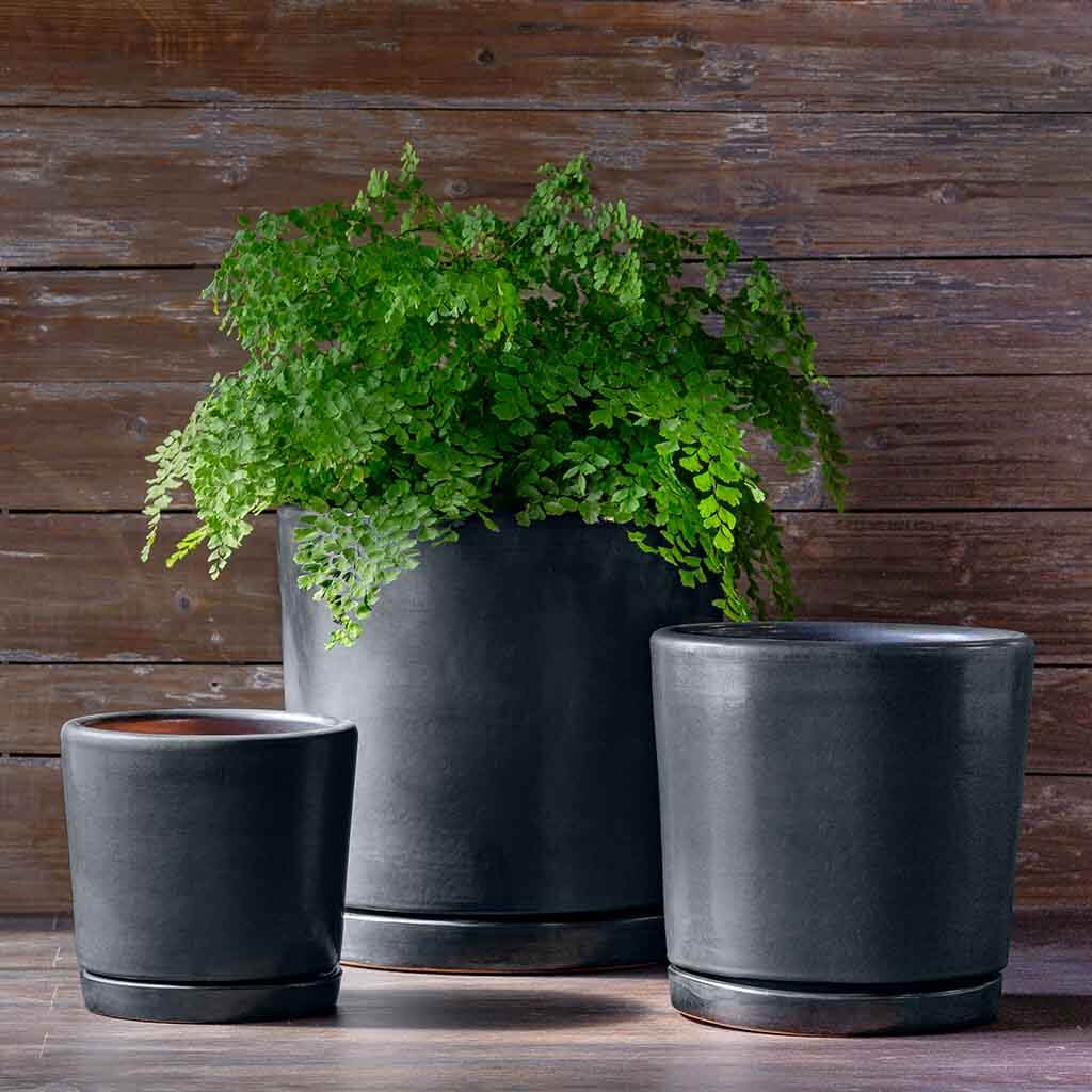 Campania I/O 2 Cylinder Planter, Set of 3 - 5319-1903