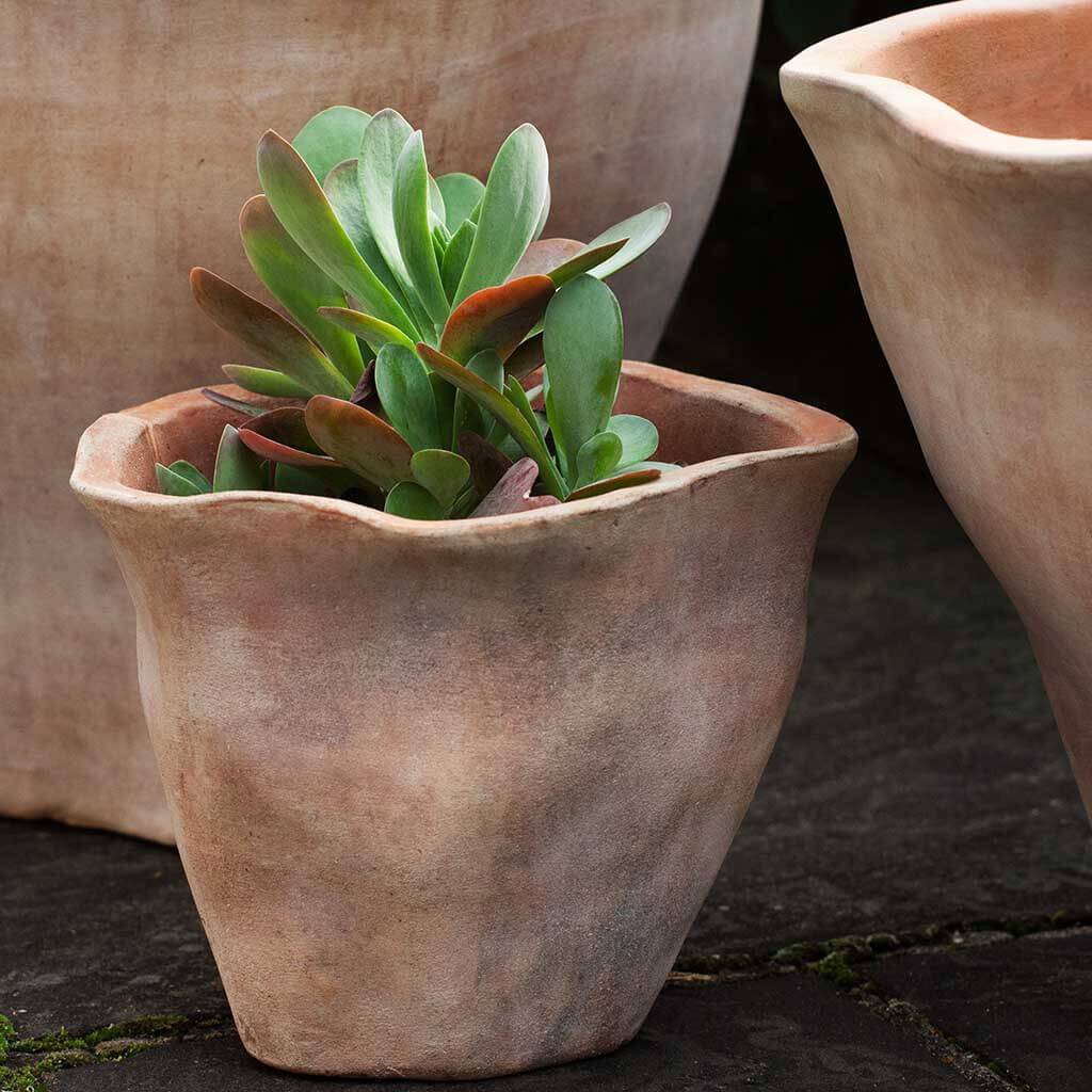 Campania Foxglove Planter, Set of 3 - 6017-2403