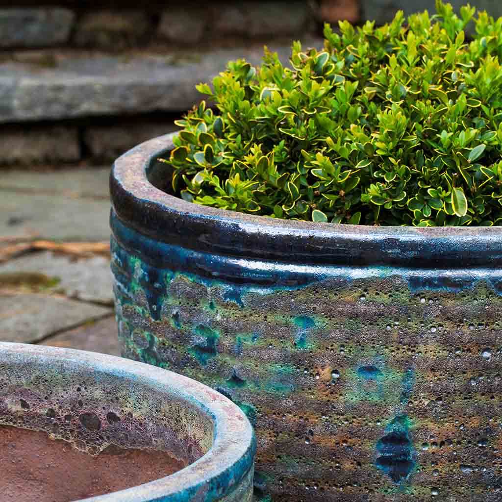 Campania Aspara Planter, Set of 4 - 6040-4204