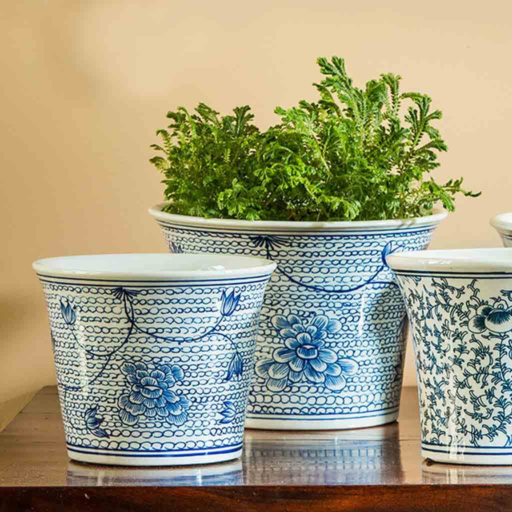 Campania Flared Planter, Set of 6 - 6181-13006