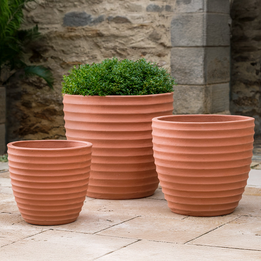Campania Linea Planter, Set of 3 - 6324-13703
