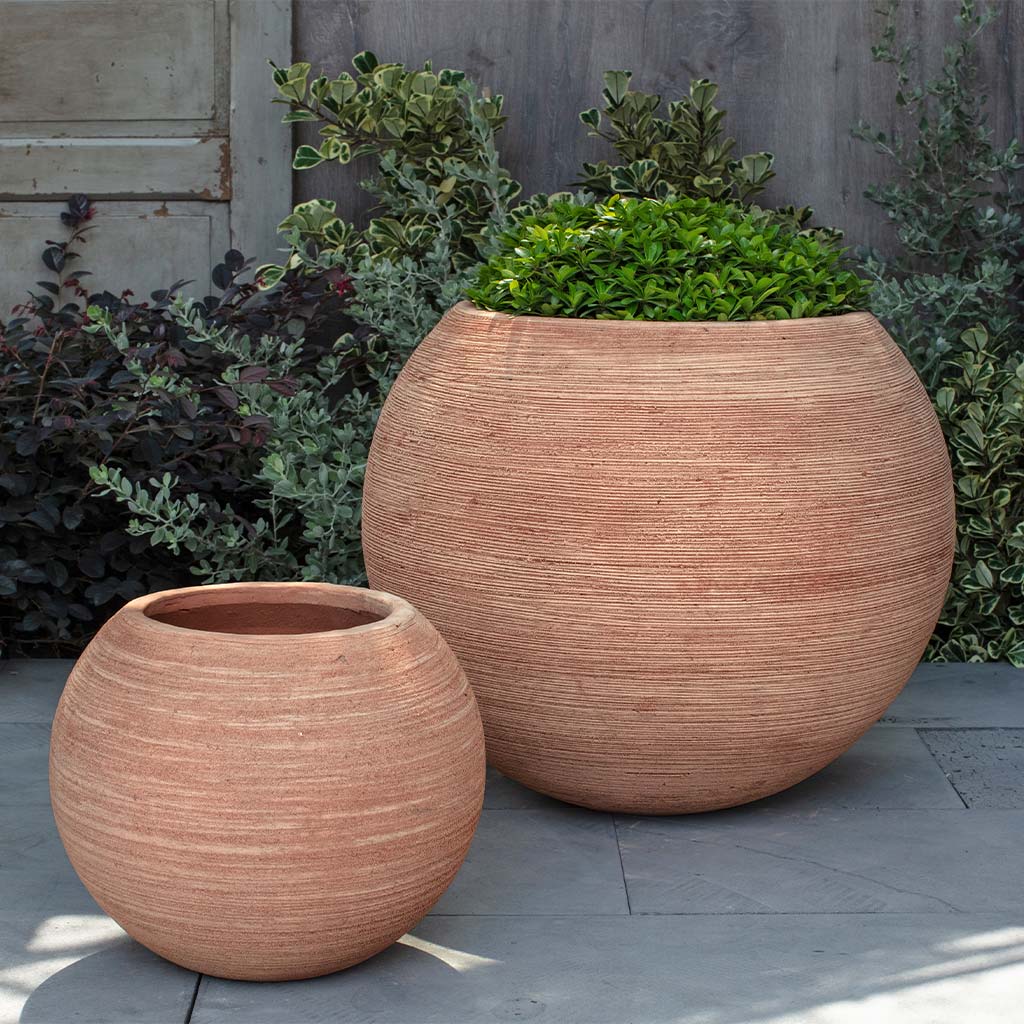 Campania Allium Planter, Set of 2 - 6499-23802