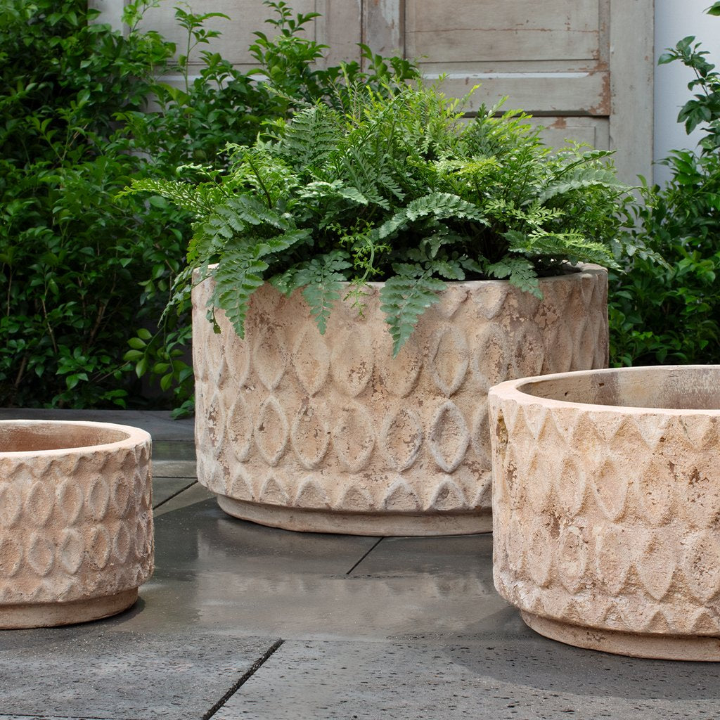 Campania Oriel Planter, Low, Set of 3 - 6514-2403