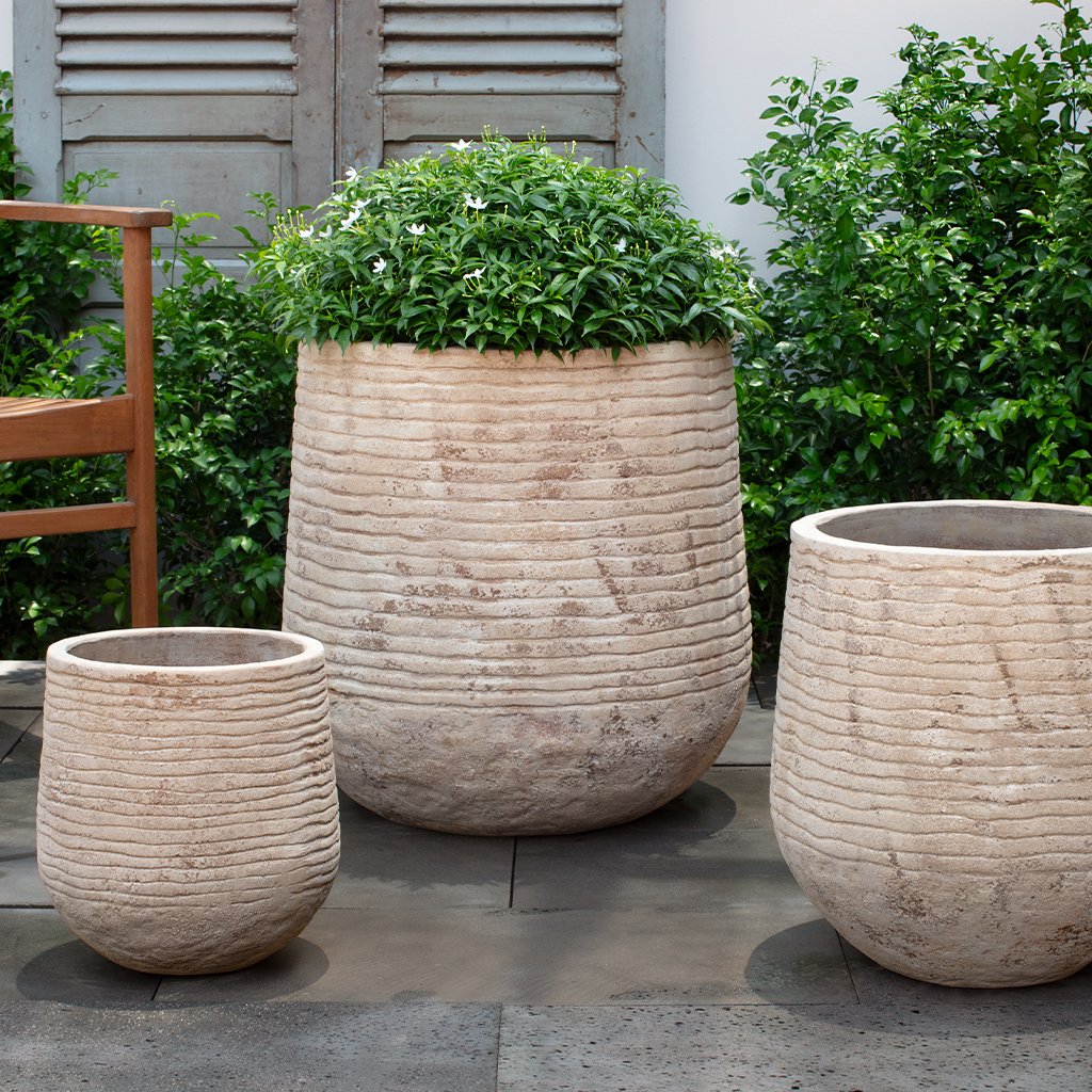 Campania Lisi Planter, Set of 3 - 6516-2403