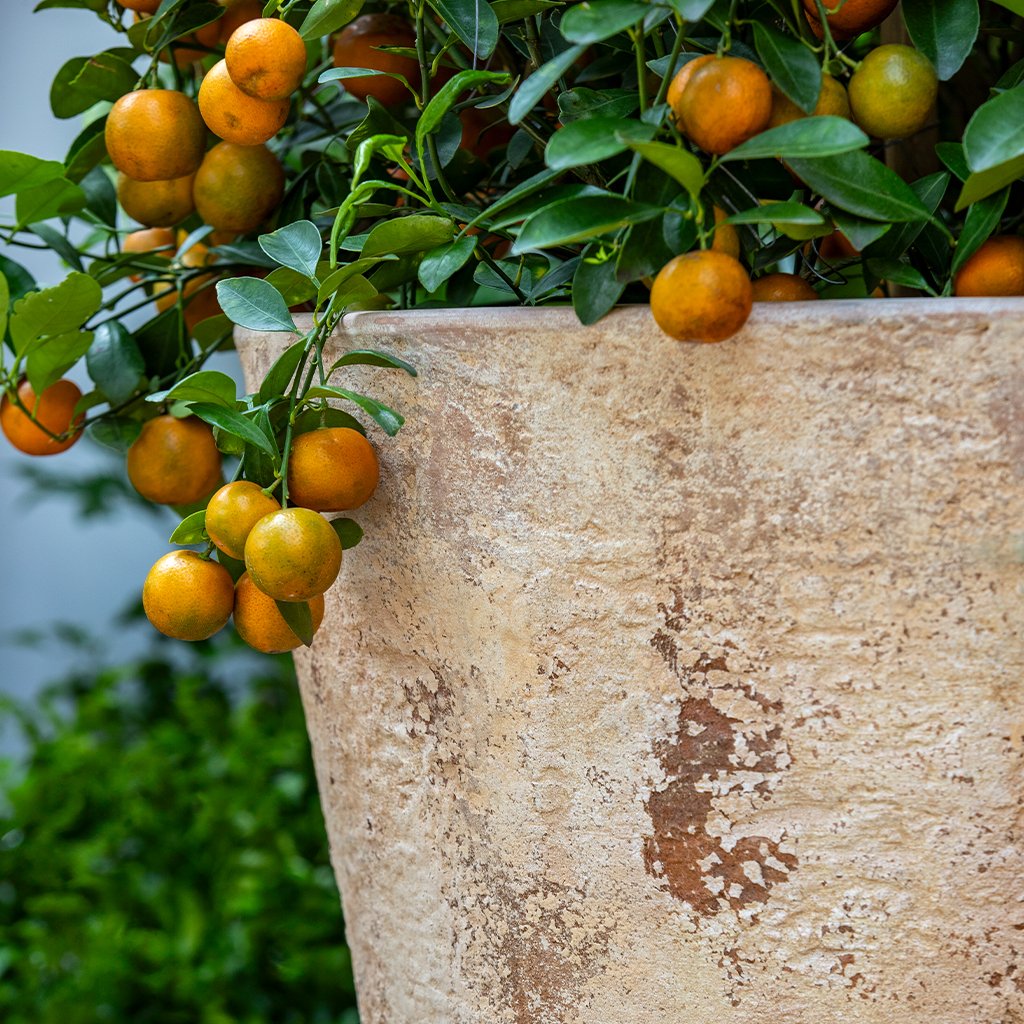 Campania Catena Planter - 6521-6601