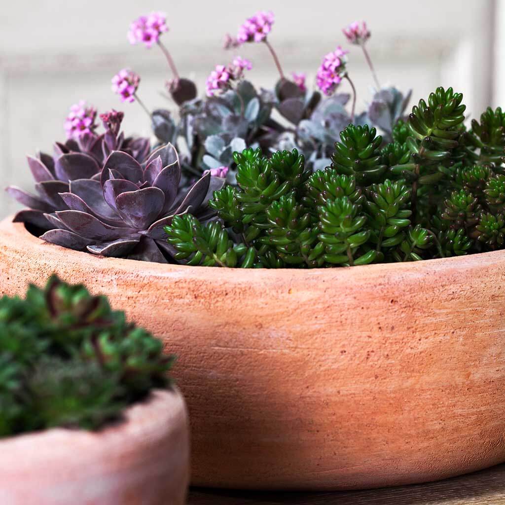 Campania Annalise Planter, Set of 2 - 6530-2402