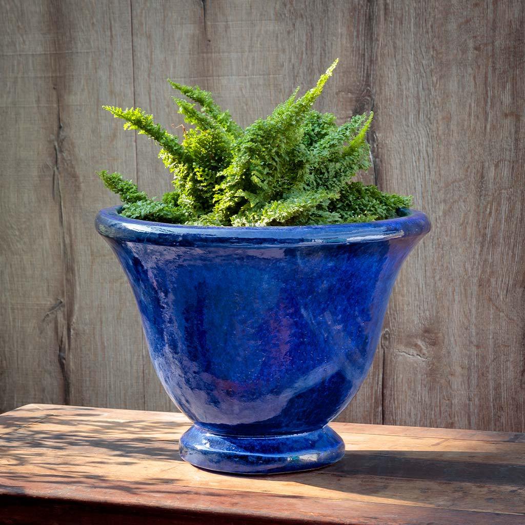 Campania Jacqueline Urn Planter - 7001-0101