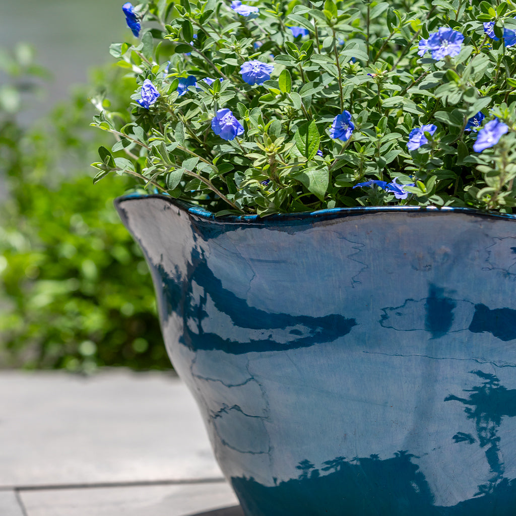 Campania Foxglove Planter, Low, Set of 3 - 7009-26803