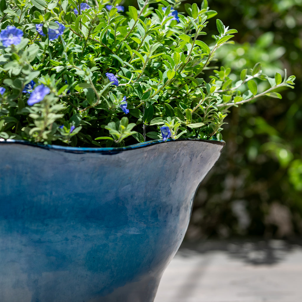 Campania Foxglove Planter, Low, Set of 3 - 7009-26803