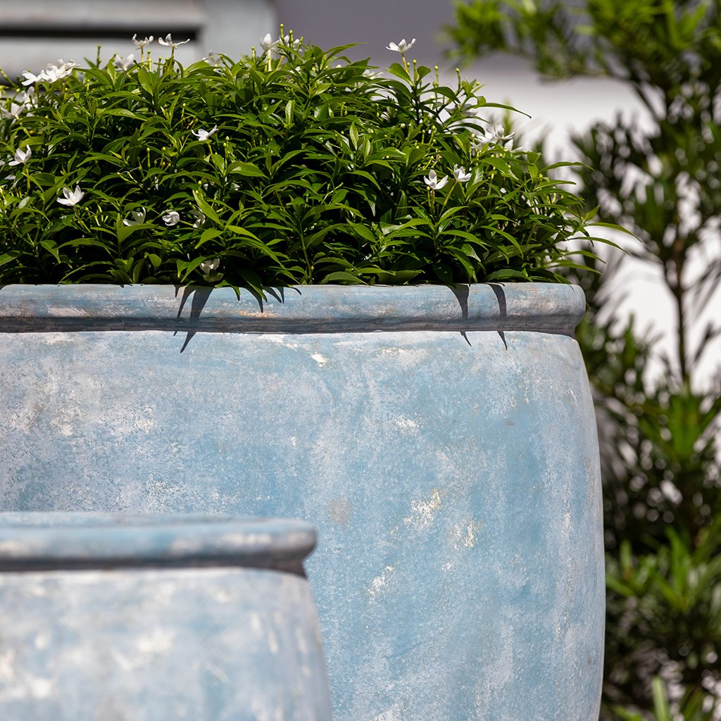 Campania Brooke Planter - 7015-26002