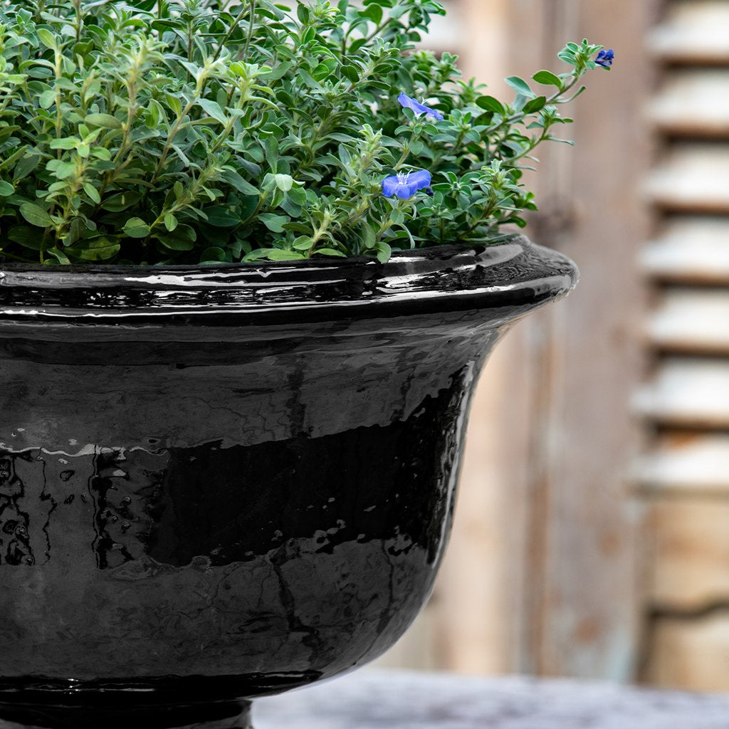 Campania Margaux Urn Planter - 7019-0701