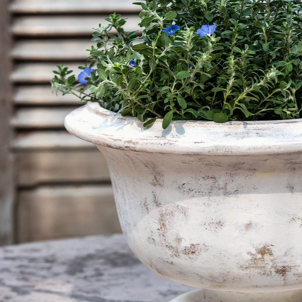 Campania Margaux Urn Planter - 7019-0701