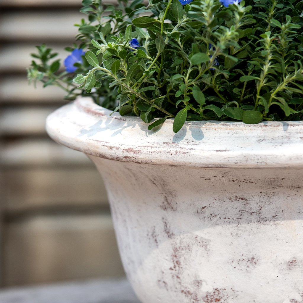 Campania Margaux Urn Planter - 7019-0701