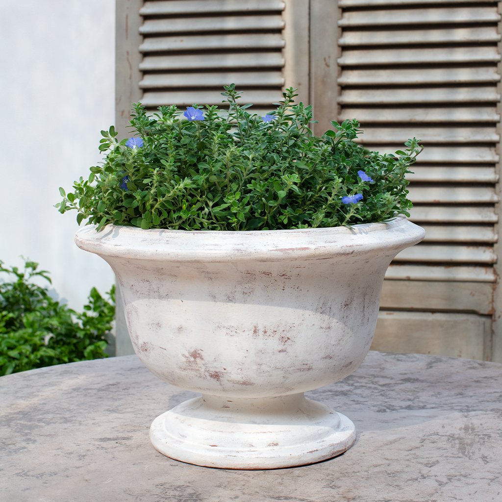 Campania Margaux Urn Planter - 7019-0701