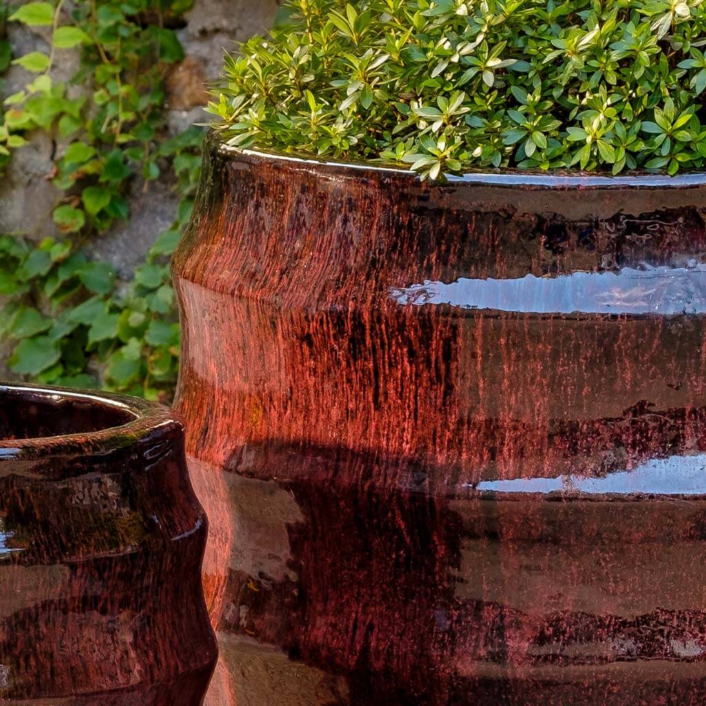 Campania Pomerol Planter, Set of 2 - 8109-20602