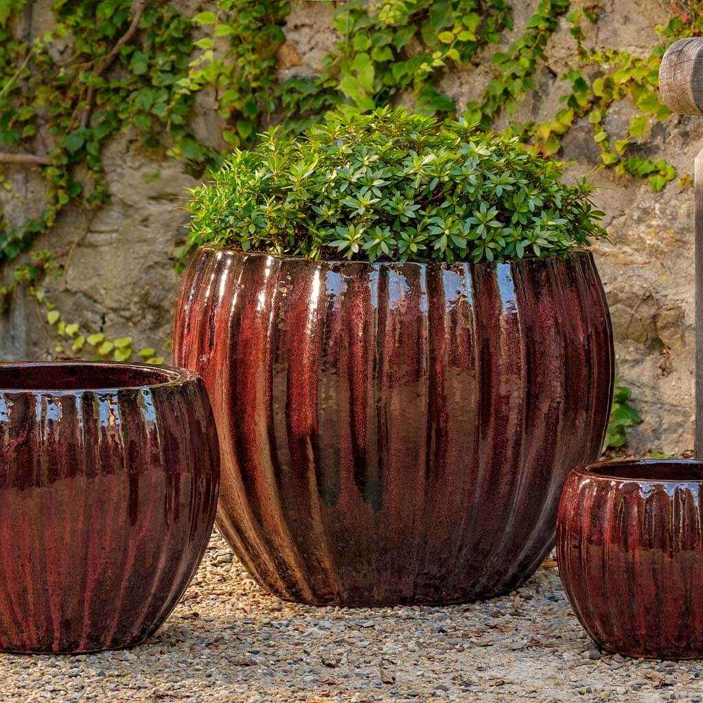 Campania Cabernet Planter, Set of 3 - 8111-20603
