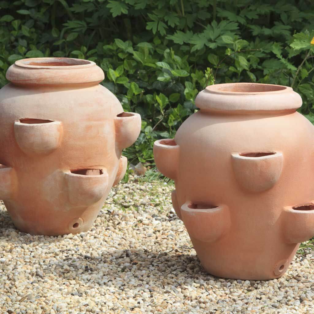 Campania Tascandi Strawberry Jar Planter, Set of 2 - 8386-2401