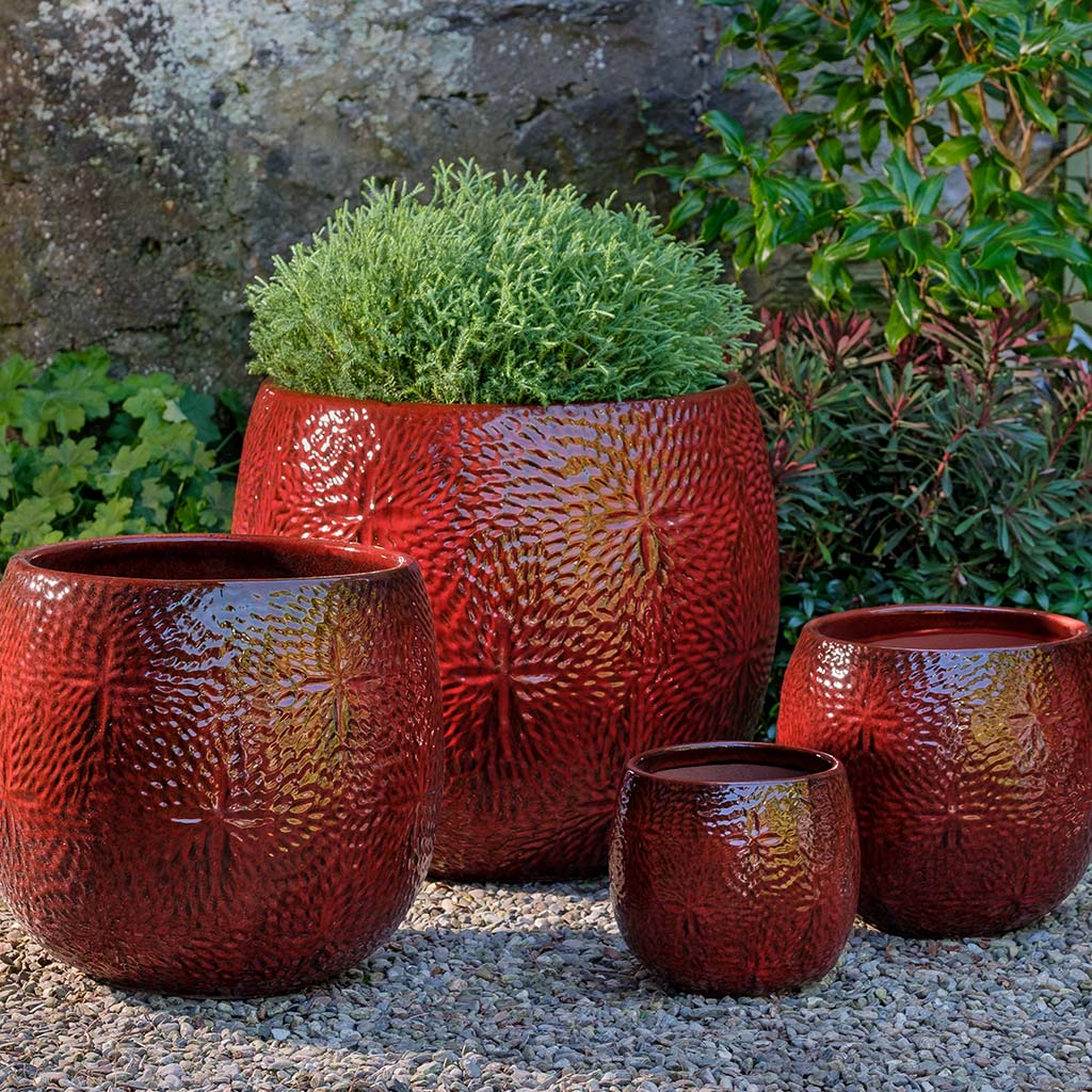 Campania Sand Dollar Planter, Set of 4 - 8851-0904