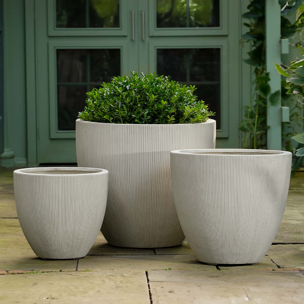Campania Airy Planter - 94-031-22100