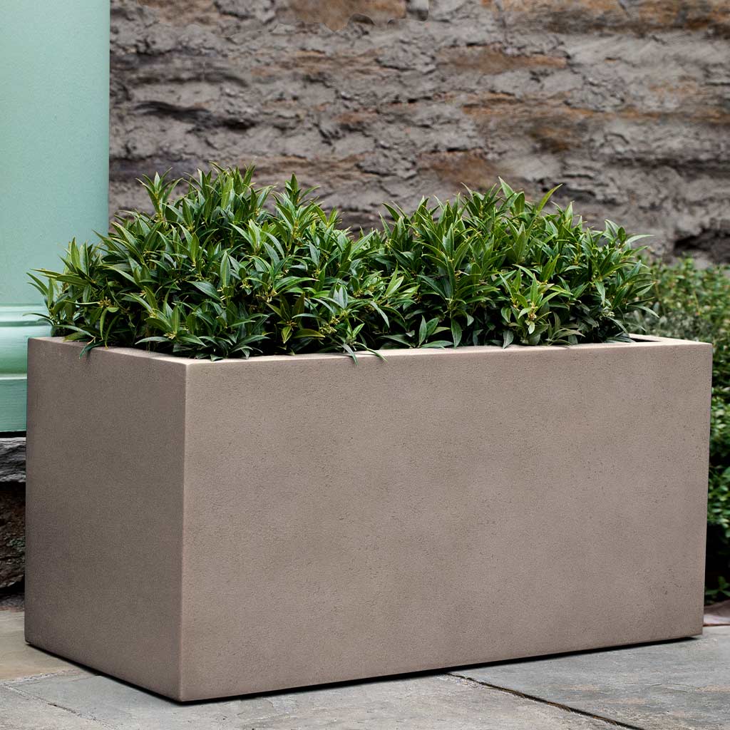 Campania Sandal Planter - 94-807-3401