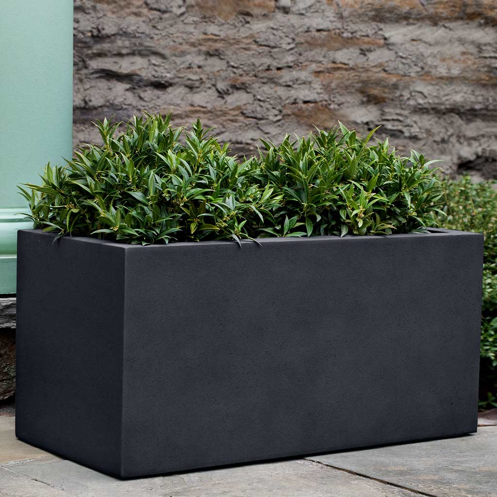 Campania Sandal Planter - 94-807-3401