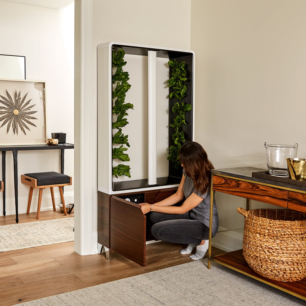 Just Vertical The AEVA Indoor Farm