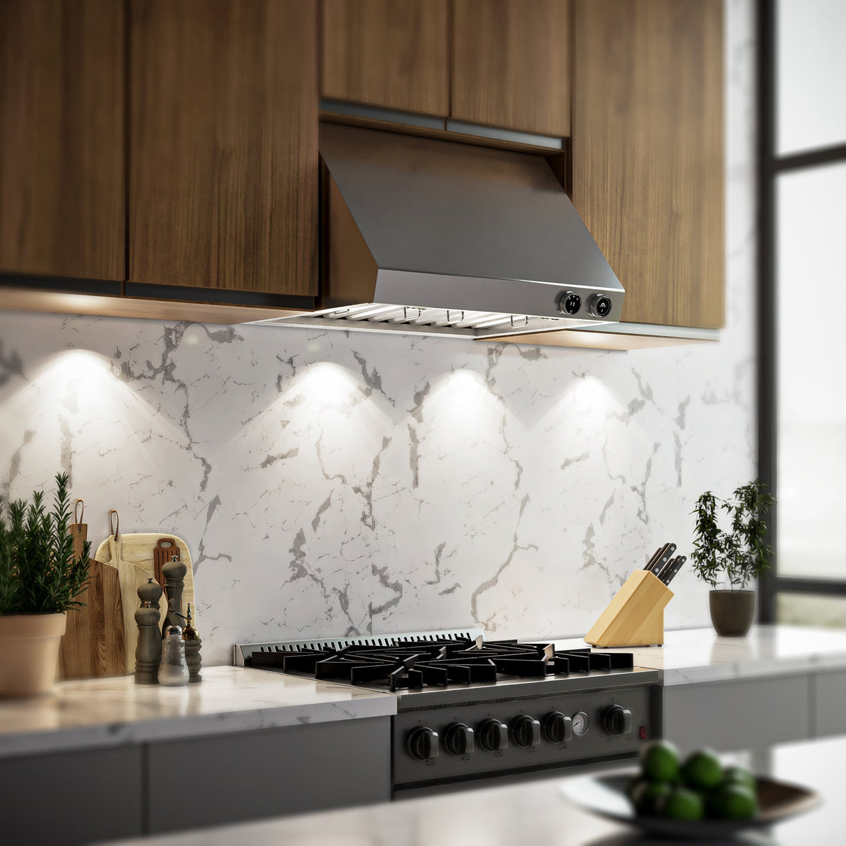 Forno Biagio Wall Mounted Range Hood, Stainless Steel, Heavy Duty