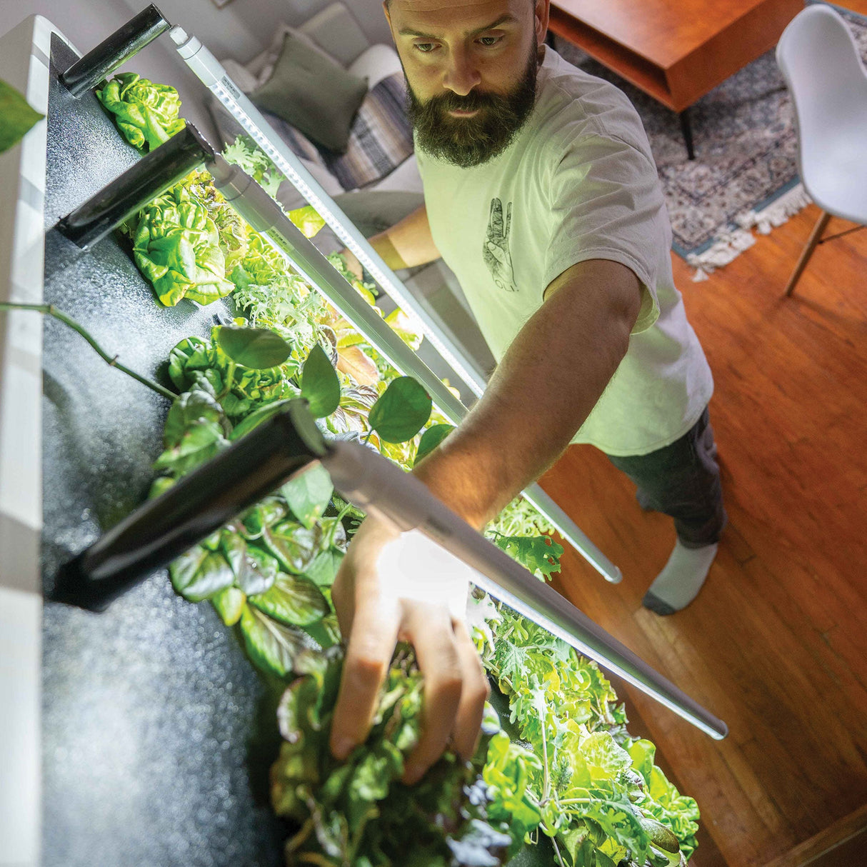 Just Vertical The ECO Living Green Wall