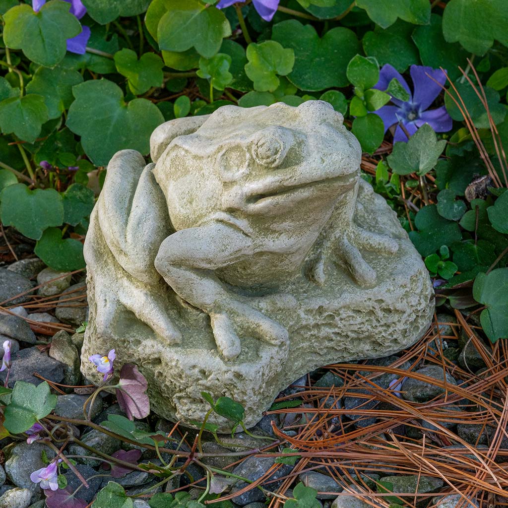 Campania Forest Frog Garden Statue - A-672