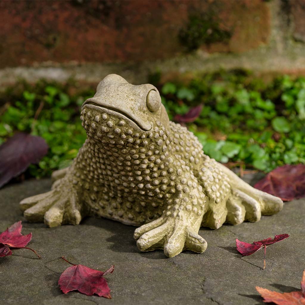 Campania Tommy Toad Garden Statue - A-674