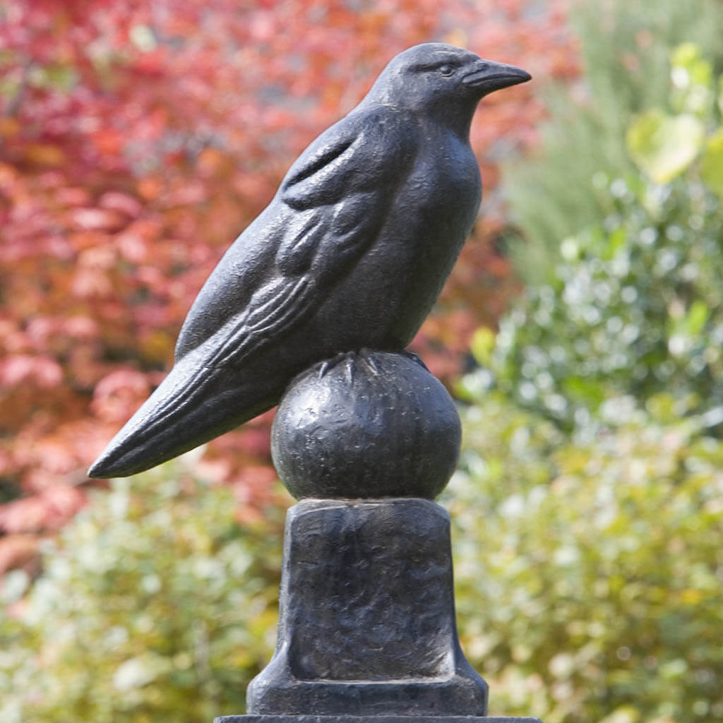 Campania Raven Garden Statue - A-360
