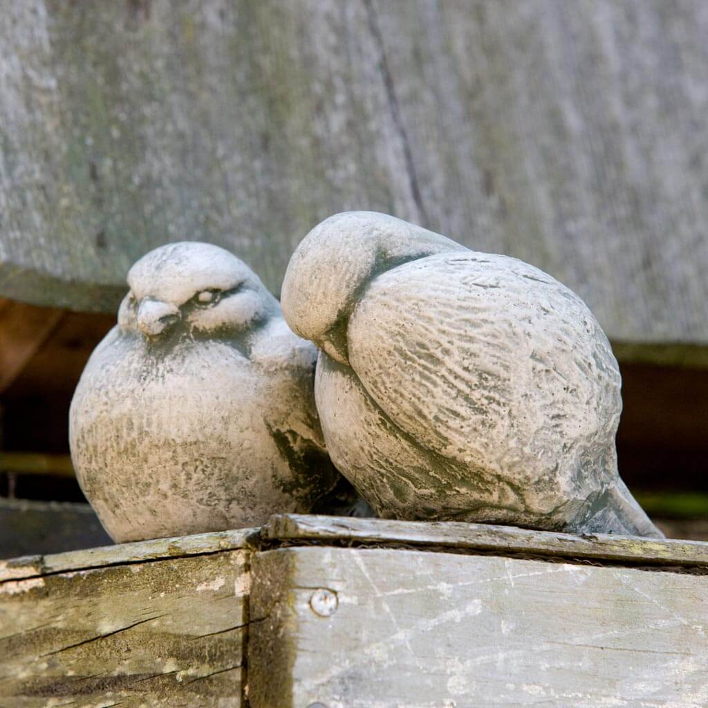 Campania Duet Garden Statue - A-375