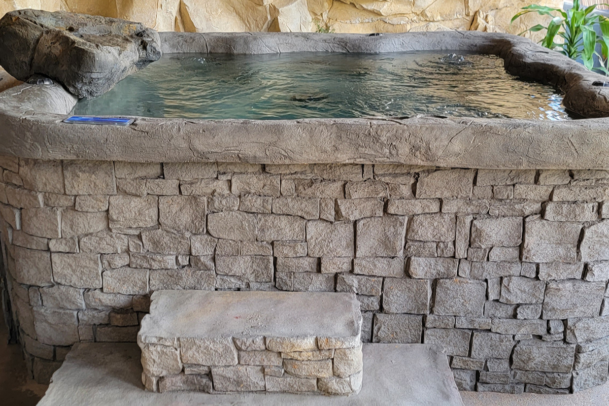 Natural Spas Bali Above Ground Hot Tub and Spa