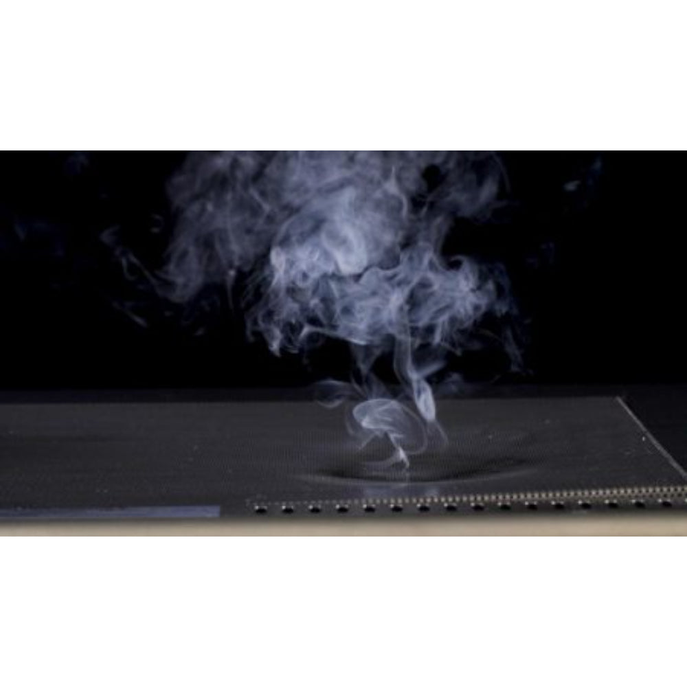 Blaze Premium LTE Marine Grade 316L 4-Burner Gas Grill - BLZ-4LTE2MG-LP/NG
