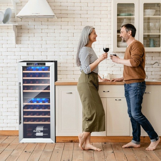 Costway Premium Freestanding Dual Zone Wine Cooler Fridge Cabinet, 43 BTLS