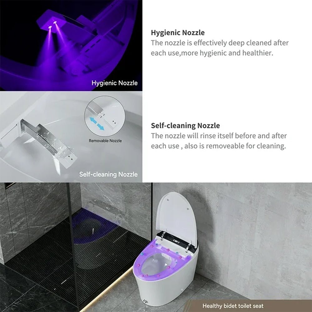 CTDV Premium Smart Tankless Bidet Toilet W/ Adjustable Heated Seat, Water & Air Dryer (96174253)