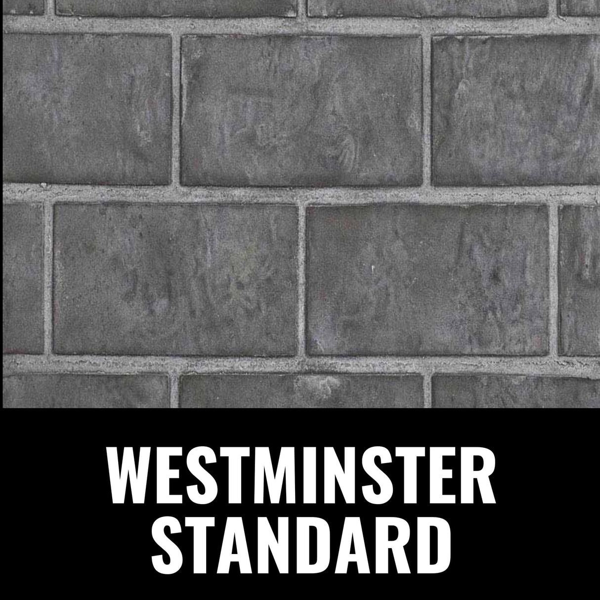 Napoleon Oakville X3/X4 Direct Vent Electronic Ignition Natural Gas Fireplace Insert (GDIX3N/4N-1)