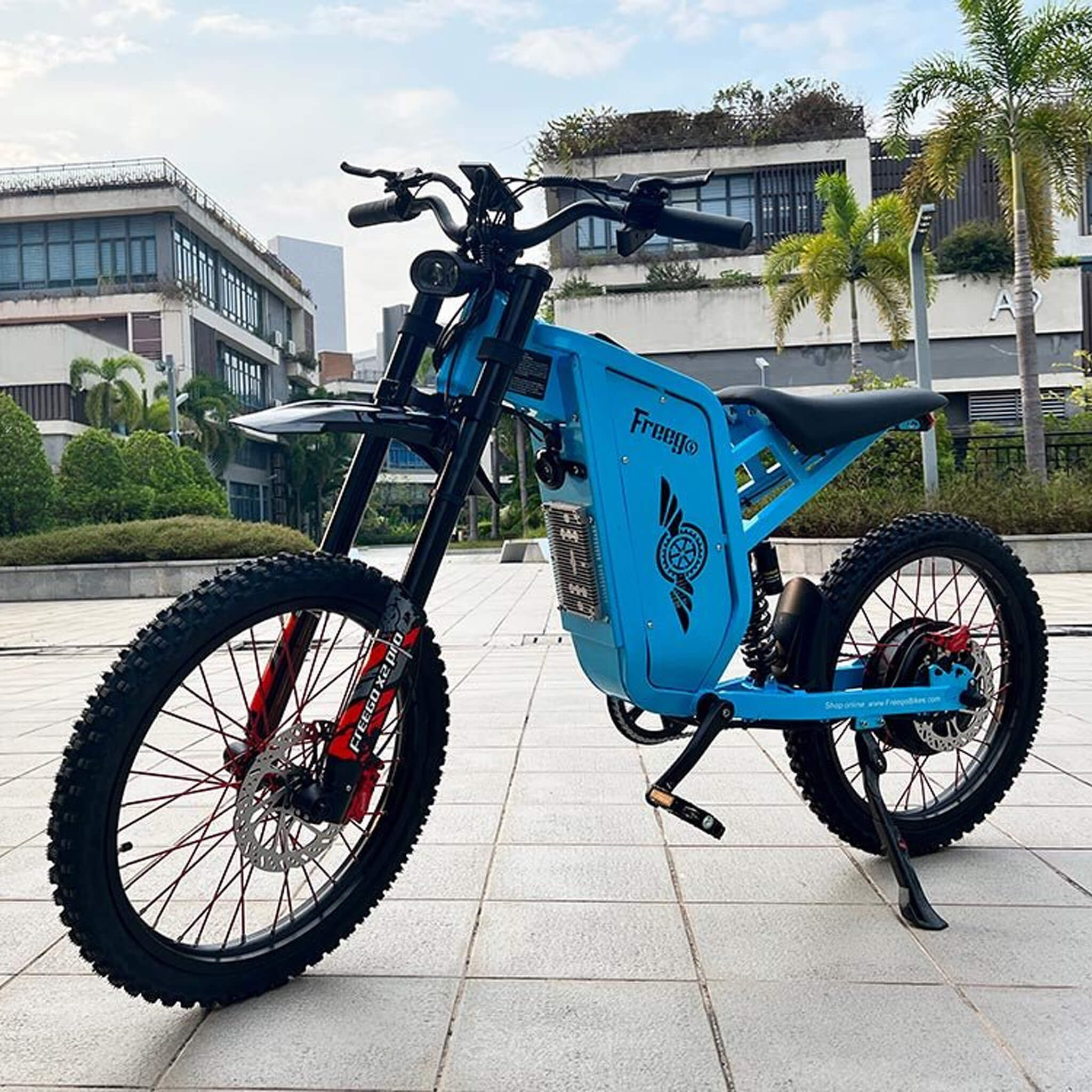Freego X2 (X2 Pro) All-Terrain Mountain Off-Road Motorcycle, 3000W (SAK91725)