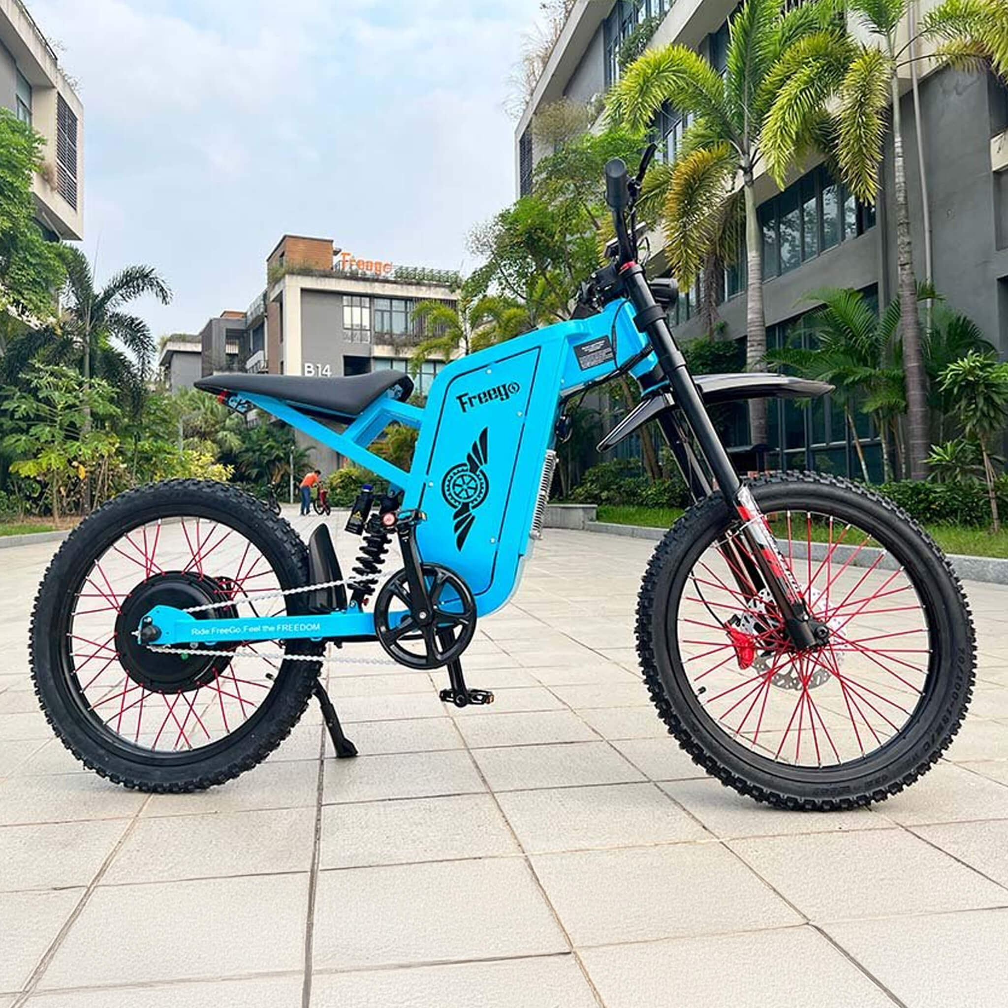 Freego X2 (X2 Pro) All-Terrain Mountain Off-Road Motorcycle, 3000W (SAK91725)