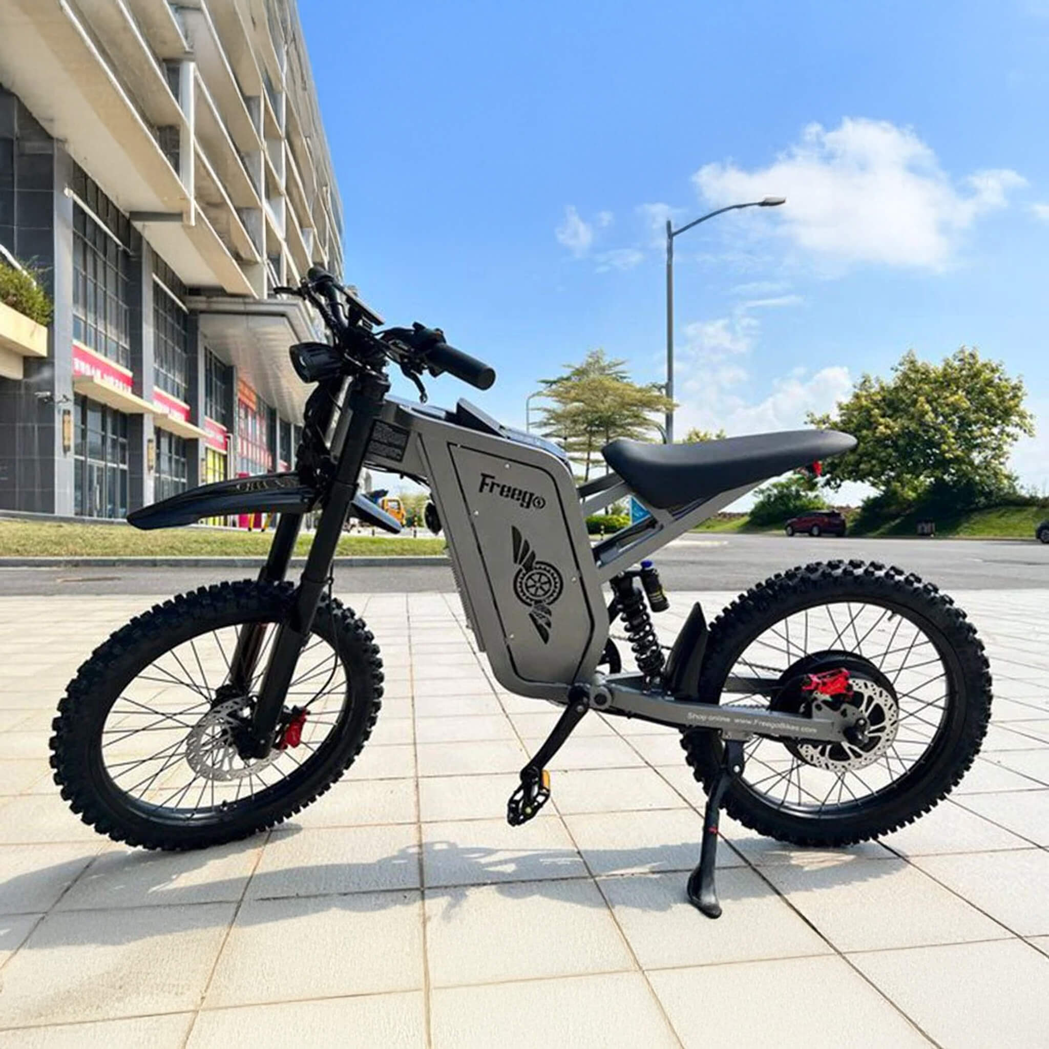 Freego X2 (X2 Pro) All-Terrain Mountain Off-Road Motorcycle, 3000W (SAK91725)